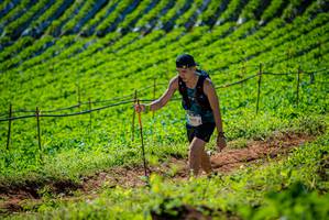 BIB: 1002
                            <button type="button" onclick="openModal(19161985)" class="btn btn-primary btn-sm float-right btn-popup" data-toggle="modal" data-target=".modal-high-quality">
                        <i class="fas fa-shopping-cart"></i> Add to Cart
                    </button>
                                            <button type="button" onclick="isThisMe(19161985, true)" class="btn btn-success btn-sm float-right btn-popup btn-isme hidden" data-toggle="tooltip" data-placement="bottom" title="นี่คือรูปของคุณใช่ไหม คลิกที่นี่เพื่อเอาเข้าอัลบั้ม">
                        <i class="fas fa-plus"></i> Add to album
                    </button>
                    <button type="button" onclick="isThisMe(19161985, false)" class="btn btn-warning btn-sm float-right btn-popup btn-isnotme hidden">
                        <i class="fas fa-ban"></i> Remove from album
                    </button>